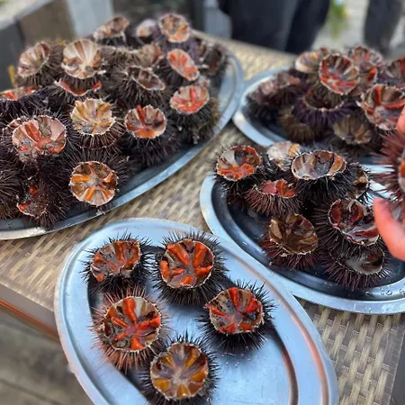 Villa Petreto Petreto-Bicchisano