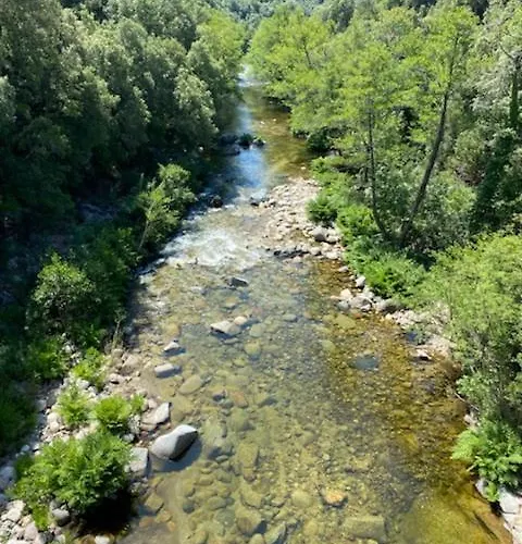 Villa Petreto Villa Petreto-Bicchisano